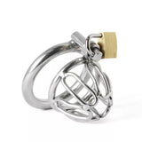 Mini Penis Chastity Device lock and ring | 3d-chastity