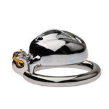 Multi Style Stainless Steel Pussy Chastity Cage size and shape | 3d-chastity