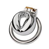 Multi Style Stainless Steel Pussy Chastity Cage lock and ring | 3d-chastity