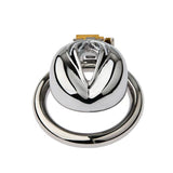 Multi Style Stainless Steel Pussy Chastity Cage wearing | 3d-chastity