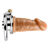 Negative Chastity Device & Detachable Dildo and Urethral product photo 19 of | 3d-chastity