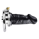 Negative Chastity Device & Detachable Dildo and Urethral product photo 20 of | 3d-chastity