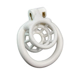 Fish Basket Negative Chastity Cage rear | 3d-chastity