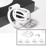 3D Printing Chastity Cage with 4 Rings full kit | 3d-chastity