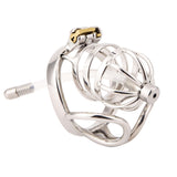 New Balls Chastity Cage with Balls Ring rear | 3d-chastity