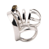 New Balls Chastity Cage with Balls Ring full kit | 3d-chastity