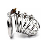 Spiked Chastity Cage