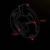 New Stainless Steel Chastity Lock lock and ring | 3d-chastity
