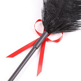 Reward and Punishment Feather Whip Chastity Cage size and shape | 3d-chastity