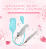 Pulse Bird Sucking Massager App Controlled Chastity Cage lock and ring | 3d-chastity