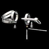 Punk Series Scallop Chastity Cage lock and ring | 3d-chastity