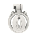 Pussy-Shaped Chastity Cage lock and ring | 3d-chastity