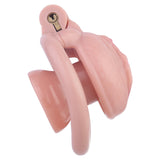 Realistic Clitoris Chastity Cage product photo 18 of | 3d-chastity