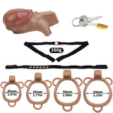 ABS Resin Penis Lock