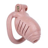 Resin Realistic Chastity Cage lock and ring | 3d-chastity
