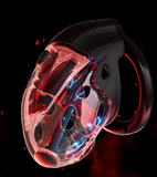 Lockink Telescopic Electric Shock Chastity Cage main product | 3d-chastity