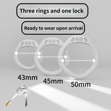 Shark Chastity Cage lock and ring | 3d-chastity