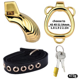 Shell Design Golden Chastity Cage comparison | 3d-chastity