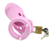 CB6000 Silicone Chastity Cage Pink size and shape | 3d-chastity