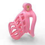 Sissy Male Chastity Cage main product | 3d-chastity