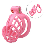 Sissy Male Chastity Cage wearing | 3d-chastity