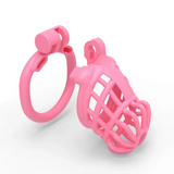 Sissy Male Chastity Cage lock and ring | 3d-chastity