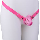 Sissy Pussy Chastity Cage lock and ring | 3d-chastity