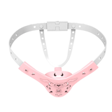 Sissy Succubus Chastity Belt wearing | 3d-chastity