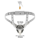 Sissy Succubus Chastity Belt full kit | 3d-chastity