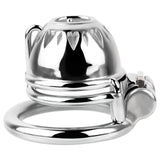 Small Chastity Cage with PA wearing | 3d-chastity