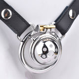 Metal Small Chastity Cage rear | 3d-chastity