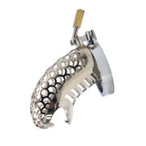 Snake Chastity Cage wearing | 3d-chastity