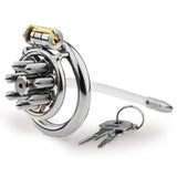 Stianless Steel Chastity Cage with Removable Nails lock and ring | 3d-chastity