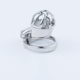 Stainless Steel Custom Chastity Cage with PA T15 lock and ring | 3d-chastity