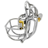 Stainless Steel Detachable PA Puncture Chastity Device main product | 3d-chastity