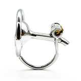 Stainless Steel Reverse Chastity Cage lock and ring | 3d-chastity