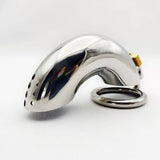 Metal Chastity Device 6.30 Inch Long main product | 3d-chastity