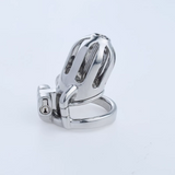 Steel Custom Chastity Cage with PA T10 front | 3d-chastity