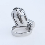 Steel Custom Chastity Cage with PA T10 side | 3d-chastity