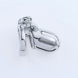 Steel Custom Chastity Cage with PA T10 lock and ring | 3d-chastity