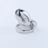 Steel Custom Chastity Cage with PA T12 side | 3d-chastity