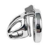 Steel Custom Chastity Cage with PA lock and ring | 3d-chastity