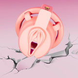 Sweet Pussy Chastity Cage lock and ring | 3d-chastity