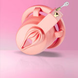 Sweet Pussy Chastity Cage wearing | 3d-chastity