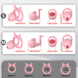 Sweetheart's Promise Chastity Cage comparison | 3d-chastity