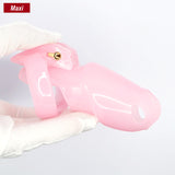the Maxi-Max V4 Chastity Cage 2.48 Inch Long main product | 3d-chastity