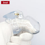 the Small-Sung V4 Chastity Cage 1.57 Inch Long lock and ring | 3d-chastity