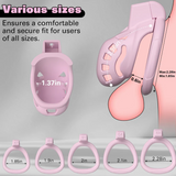 Ultimate Control with Invisible Lock Chastity Cage full kit | 3d-chastity