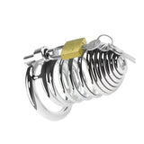 Vertical Multiple Loop Chastity Cage lock and ring | 3d-chastity