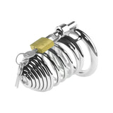Vertical Multiple Loop Penis Cage